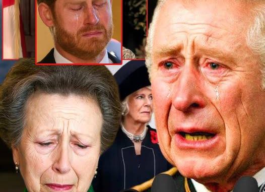 586580705_122188686494553881_6018900888746282750_n