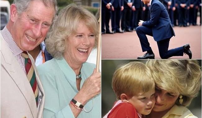 597847144_122166275852627464_6384952768708338624_n